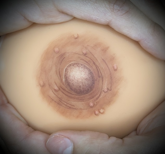 Ivonne Jimenez Ciptakan Tato Areola 3D